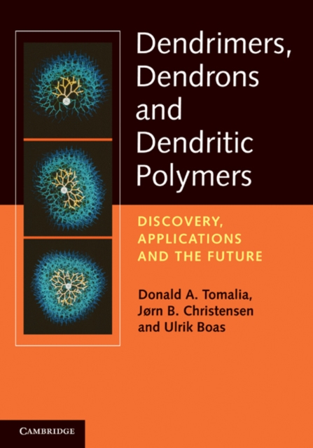 Dendrimers, Dendrons, and Dendritic Polymers : Discovery, Applications, and the Future, EPUB eBook