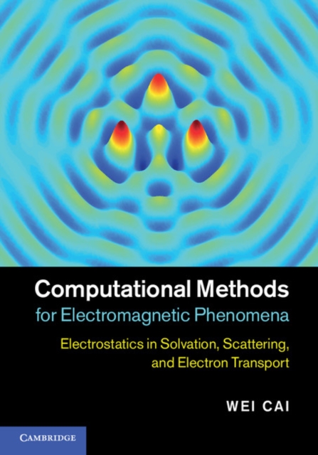 Computational Methods for Electromagnetic Phenomena : Electrostatics in Solvation, Scattering, and Electron Transport, EPUB eBook