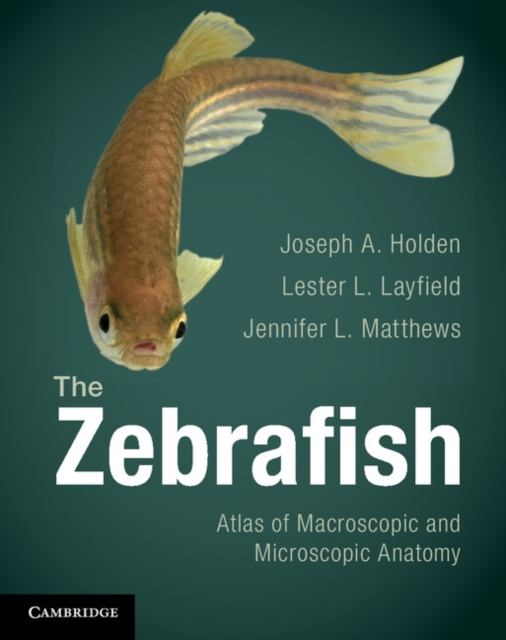 Zebrafish : Atlas of Macroscopic and Microscopic Anatomy, EPUB eBook