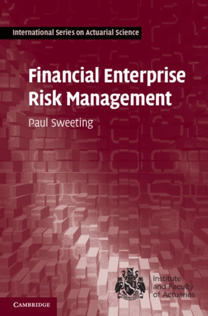Financial Enterprise Risk Management, EPUB eBook