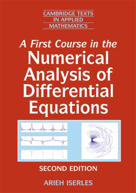 First Course in the Numerical Analysis of Differential Equations, EPUB eBook