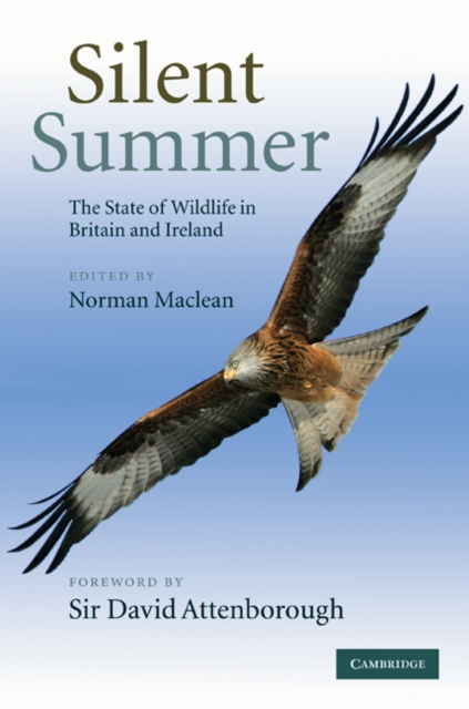 Silent Summer : The State of Wildlife in Britain and Ireland, PDF eBook