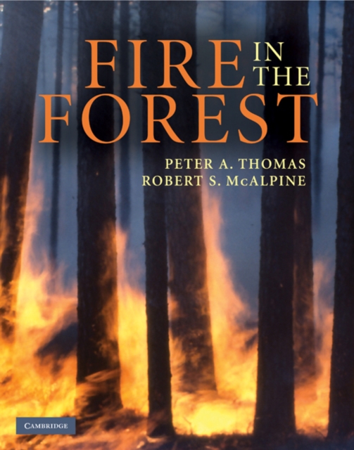 Fire in the Forest, PDF eBook