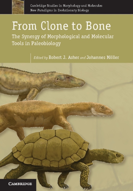 From Clone to Bone : The Synergy of Morphological and Molecular Tools in Palaeobiology, PDF eBook