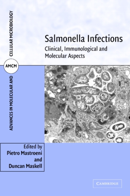 Salmonella Infections : Clinical, Immunological and Molecular Aspects, EPUB eBook