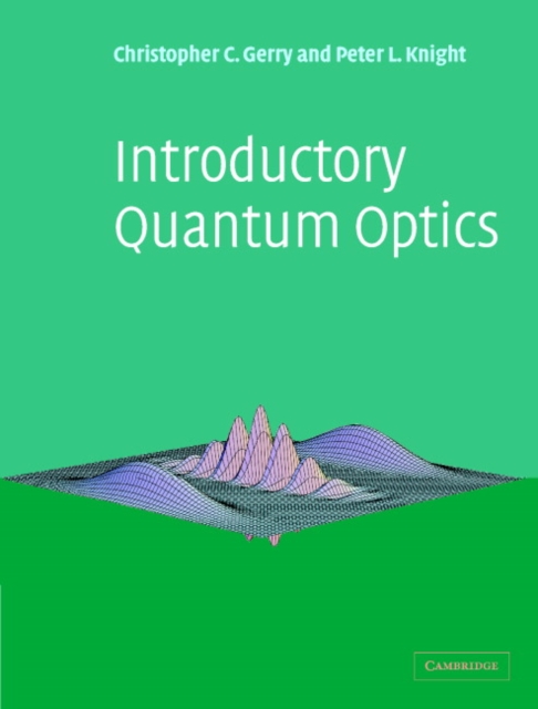 Introductory Quantum Optics, EPUB eBook