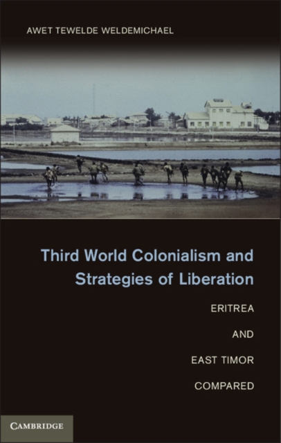 Third World Colonialism and Strategies of Liberation : Eritrea and East Timor Compared, PDF eBook