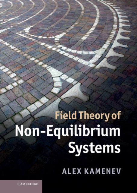 Field Theory of Non-Equilibrium Systems, EPUB eBook