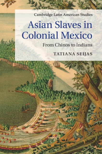 Asian Slaves in Colonial Mexico : From Chinos to Indians, EPUB eBook