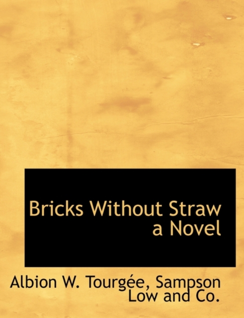 Bricks Without Straw a Novel, Hardback Book