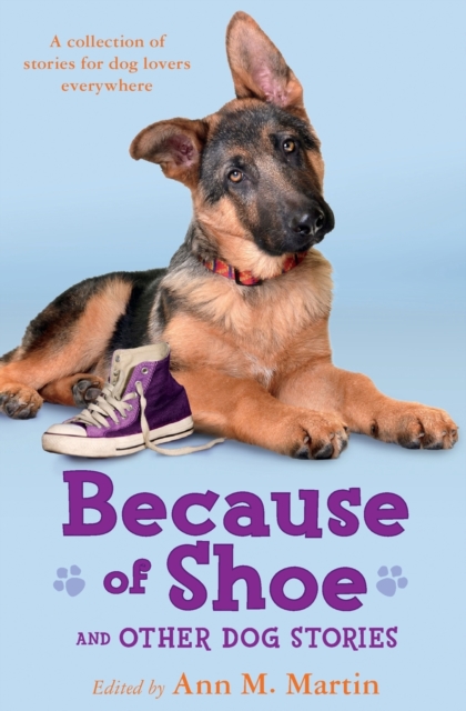 Because of Shoe and Other Dog Stories, Paperback Book