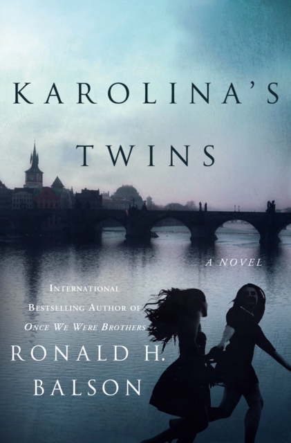 Karolina's Twins : A Novel, Hardback Book