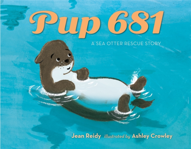 Pup 681 : A Sea Otter Rescue Story, Hardback Book