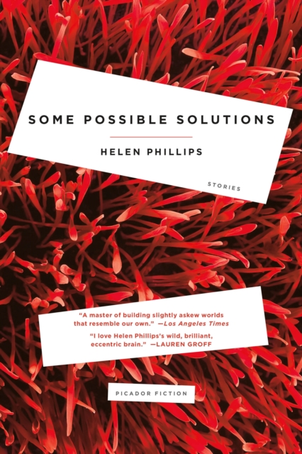 Some Possible Solutions, Paperback / softback Book