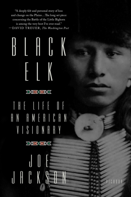 Black Elk : The Life of an American Visionary, Paperback / softback Book