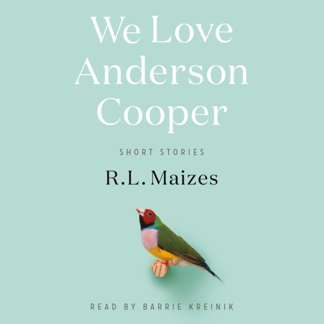 We Love Anderson Cooper : Short Stories, eAudiobook MP3 eaudioBook