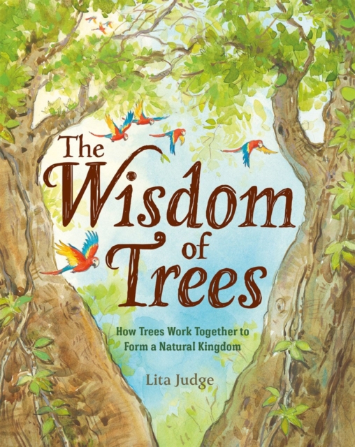 The Wisdom Of Trees : How Trees Work Together to Form a Natural Kingdom, Hardback Book