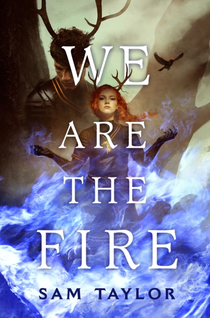 We Are the Fire, Hardback Book