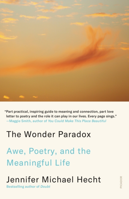 The Wonder Paradox : Embracing the Weirdness of Existence and the Poetry of Our Lives, Paperback / softback Book