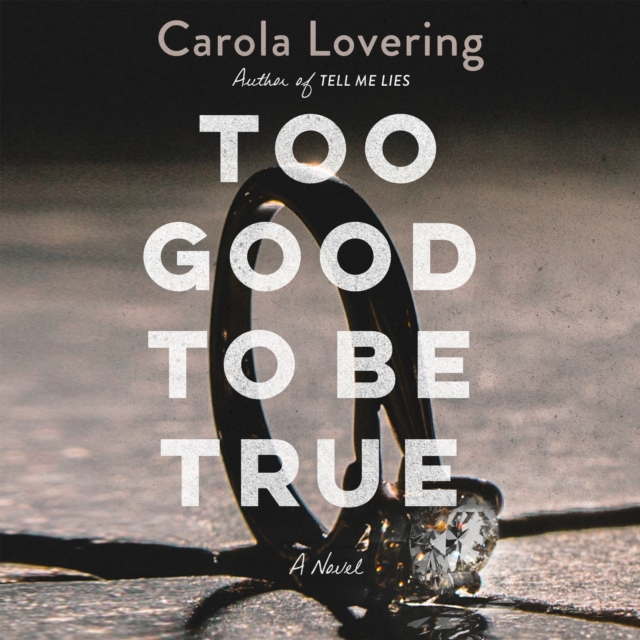 Too Good to Be True : A Novel, eAudiobook MP3 eaudioBook