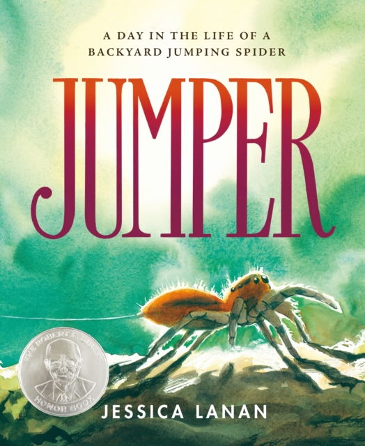 Jumper : A Day in the Life of a Backyard Jumping Spider, Hardback Book
