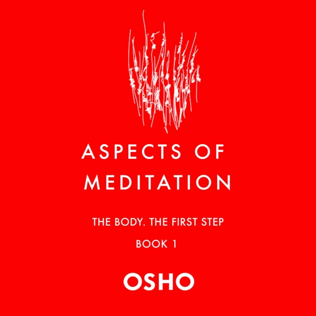 Aspects of Meditation Book 1 : The Body, the First Step, eAudiobook MP3 eaudioBook