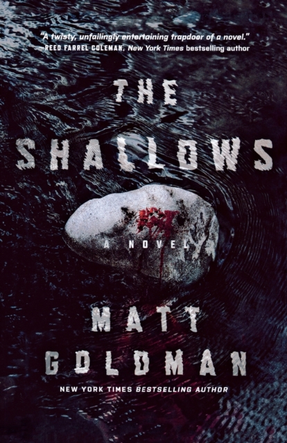 The Shallows : A Nils Shapiro Novel, Paperback / softback Book