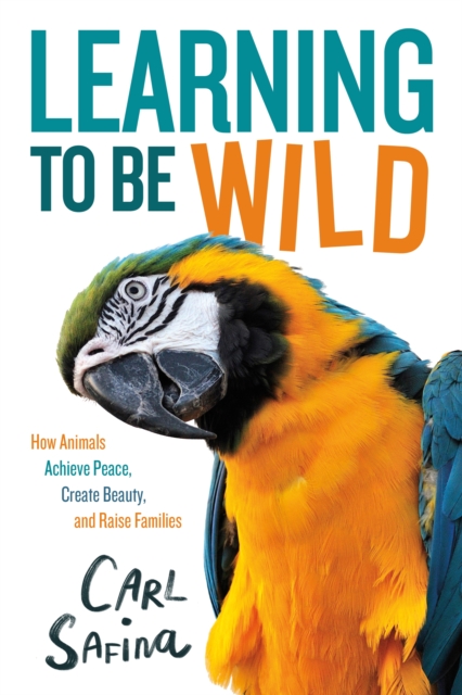 Learning to Be Wild (A Young Reader's Adaptation) : How Animals Achieve Peace, Create Beauty, and Raise Families, Hardback Book