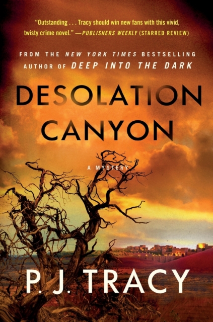 Desolation Canyon : A Mystery, Paperback / softback Book