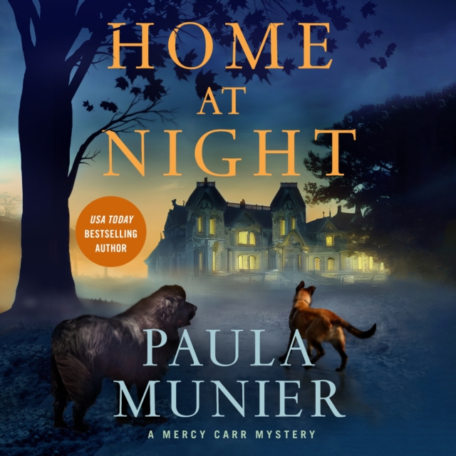 Home at Night, eAudiobook MP3 eaudioBook