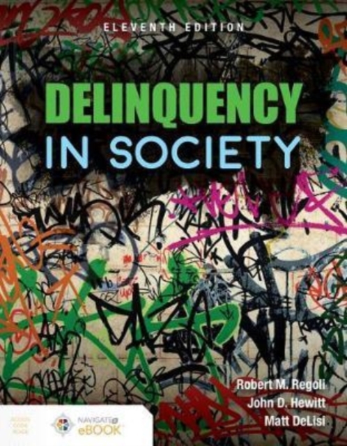 Delinquency In Society, Hardback Book