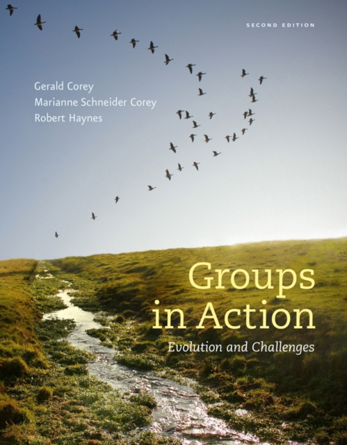 Groups in Action : Evolution and Challenges (with Workbook and DVD), Multiple-component retail product Book