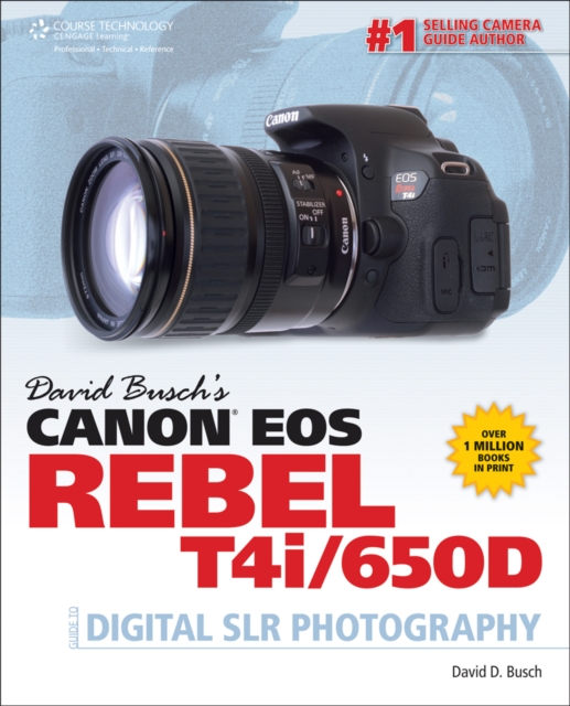 David Busch's Canon EOS Rebel T4i/650D Guide to Digital SLR Photography, Paperback / softback Book