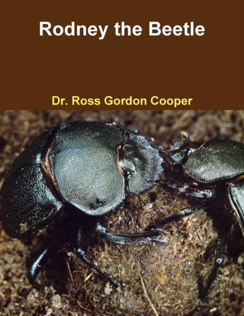 Rodney the Beetle, Paperback / softback Book