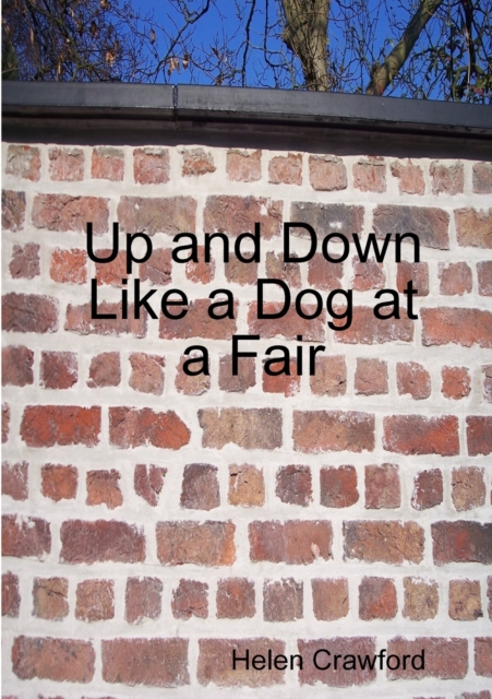 Up and Down Like a Dog at a Fair, Paperback / softback Book