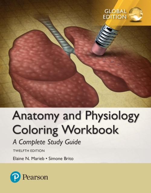 Download Anatomy and Physiology Coloring Workbook: A Complete Study Guide, Global Edition: Elaine N ...