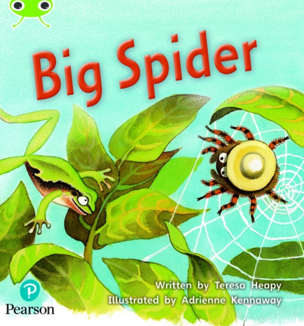 Bug Club Phonics - Phase 5 Unit 27: Big Spider, Paperback / softback Book