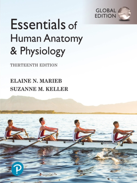 Essentials of Human Anatomy & Physiology, Global Edition, PDF eBook