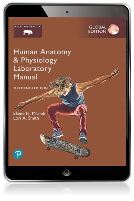 Human Anatomy & Physiology Laboratory Manual, Fetal Pig Version, Global Edition, PDF eBook