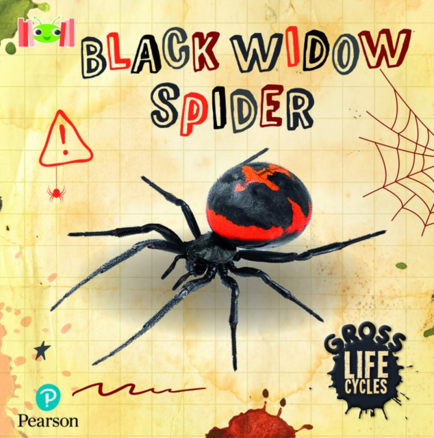 Bug Club Reading Corner: Age 5-7: Gross Lifecycles: Black Widow Spider, Paperback / softback Book