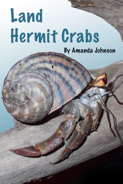 Land Hermit Crabs, Paperback / softback Book