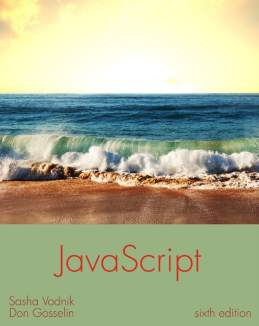 JavaScript : The Web Warrior Series, Paperback / softback Book