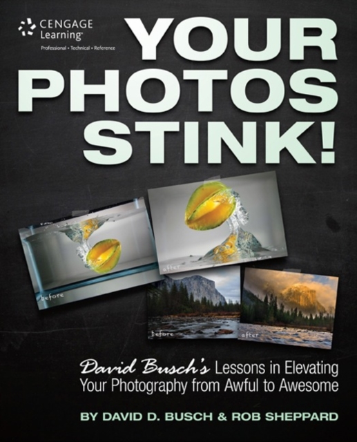 Your Photos Stink! : David Busch's Lessons in Elevating Your Photography from Awful to Awesome, Paperback / softback Book
