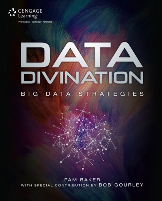 Data Divination : Big Data Strategies, Paperback Book