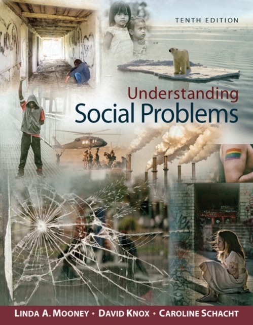 Understanding Social Problems, Paperback / softback Book