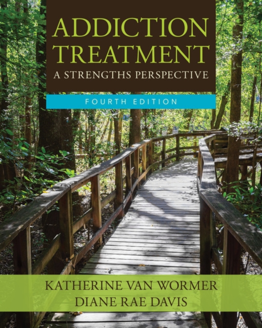 Addiction Treatment: A Strengths Perspective, Paperback / softback Book