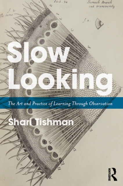 Slow Looking : The Art and Practice of Learning Through Observation, EPUB eBook
