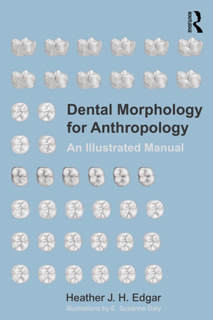 Dental Morphology for Anthropology : An Illustrated Manual, PDF eBook