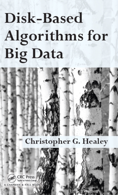 Disk-Based Algorithms for Big Data, PDF eBook