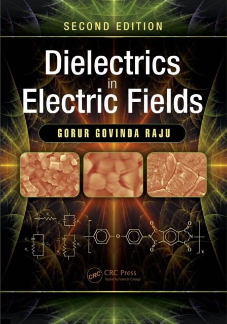 Dielectrics in Electric Fields : Tables, Atoms, and Molecules, EPUB eBook